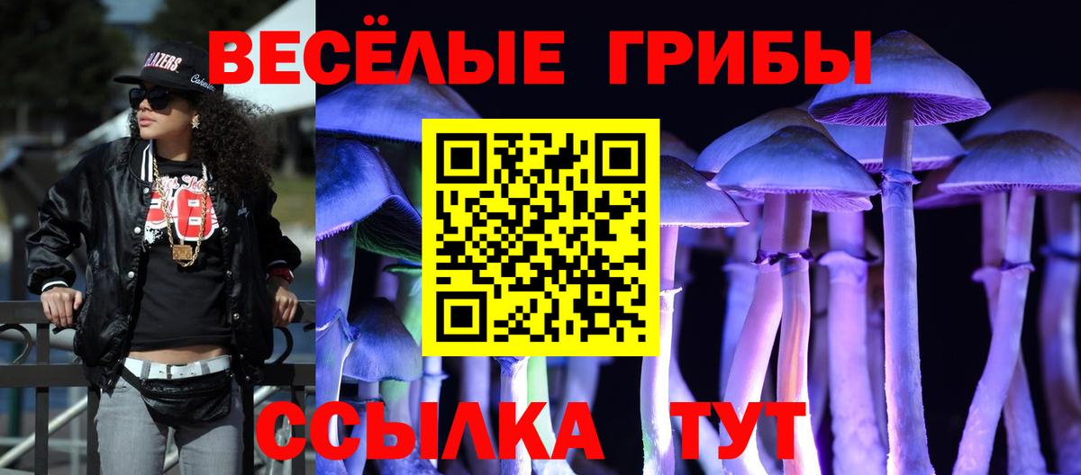 Галлюциногенные грибы Magic Shrooms  Галлюциногенные грибы ЛСД  Вход с VPN  Гагарин 