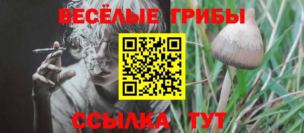 Галлюциногенные грибы Psilocybine cubensis Гагарин